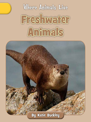 cover image of Freshwater Animals